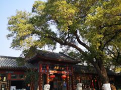 -素行天下(国投财富广场店)