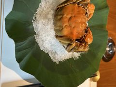 -觀芷隐轩