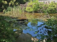 -九龙潭景区