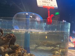 -海立阁海鲜江浙菜(漕河泾印象城店)