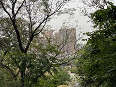 -佛山华盖山公园