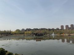 -前关湿地公园