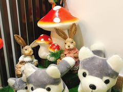 -Husky Go! 哈士奇体验馆·宠物咖啡厅狗咖