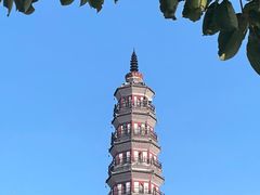 -顺峰山公园