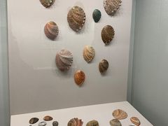 -大连自然博物馆