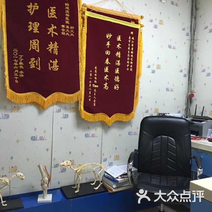 酷迪动物医院图片-北京宠物医院-大众点评网