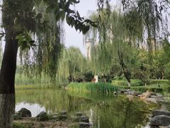-木塔寺遗址生态公园