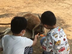 -青岛森林野生动物世界