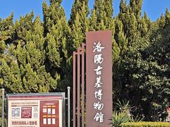 -洛阳古墓博物馆