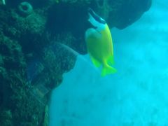 -石家庄海洋公园