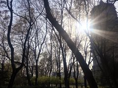 -玲珑塔公园