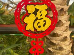 -南宫五洲植物乐园