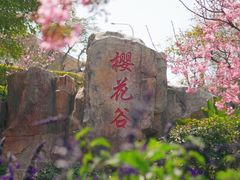 -狐尾山公园