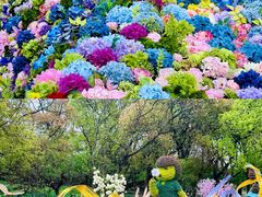 -上海共青森林公园