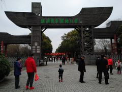 -溱湖国家湿地公园