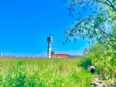 -上海吴淞炮台湾国家湿地公园