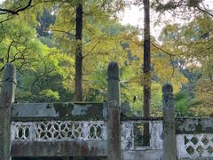 -白鹿洞书院