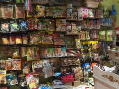 -爱宠屋pet shop·宠物洗澡·宠物美容