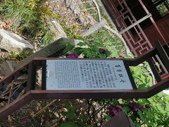 -上海醉白池公园