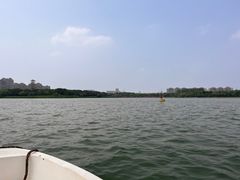-暨阳湖生态园