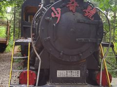 -五营红松林海景区