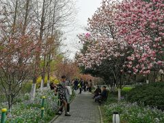 -荆川公园