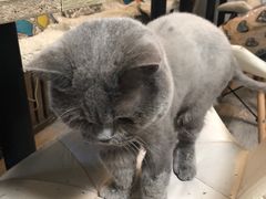 -小时光咖啡馆(北锣鼓巷店)
