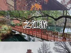 -之江大学-旧址