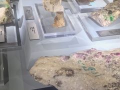 -云南省博物馆