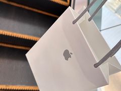 -Apple零售店(深圳益田假日广场店)