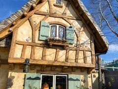 -上海迪士尼度假区