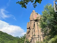 -朱雀国家森林公园