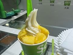 -Salud撒露欧洲冻酸奶(北苑上品店)