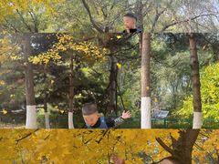 -长白岛森林公园