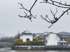 -八大山人梅湖景区