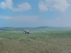 -186彩带河