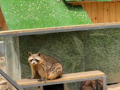-青藏高原野生动物园