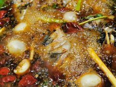 -聚乐城火锅(仁寿2023年餐饮名店)