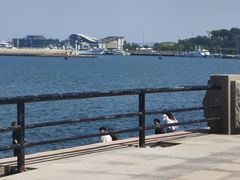 -幸福门