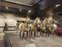 -秦始皇帝陵博物院-丽山园