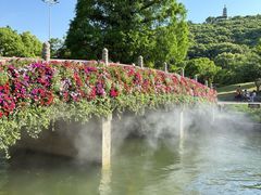 -苏州上方山国家森林公园