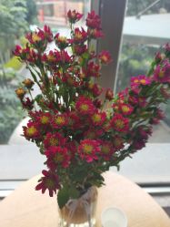 -痘博士昆明·国际祛痘领跑品牌