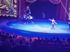 -珠海横琴长隆《卡卡虎奇遇记》