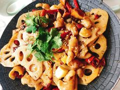 -陈麻婆豆腐总店