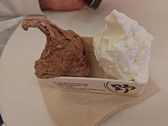 -野人先生现做冰淇淋(北京王府井东方新天地店)