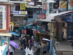 -猫咪博物馆(顶澳仔猫街店)