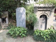 -活死人墓
