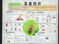 -上海大自然野生昆虫馆(东方明珠·爬宠昆虫探索中心)