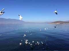 -白沙门生态公园