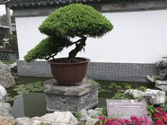 -水绘园